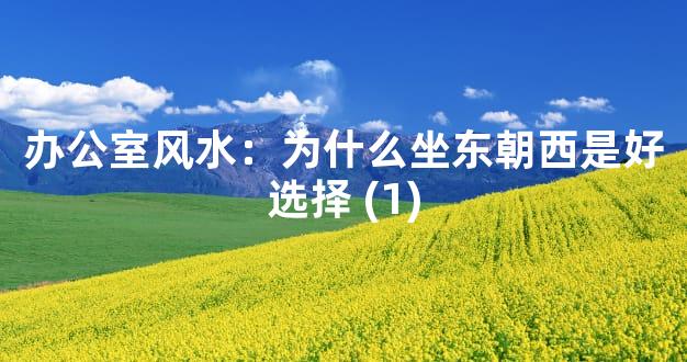 办公室风水：为什么坐东朝西是好选择 (1)